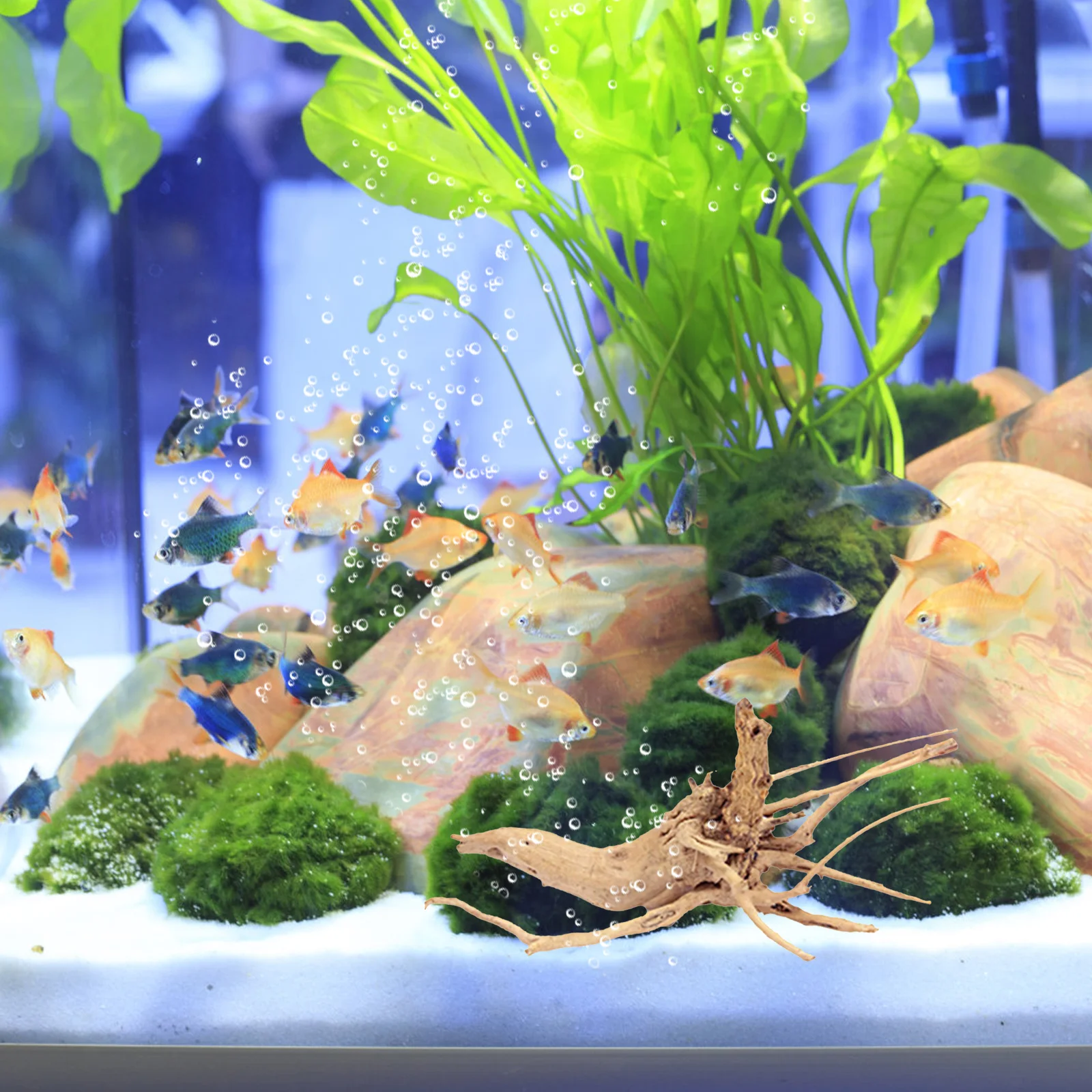 

15-20Cm Natural Driftwood Branch For Freshwater Aquarium Fish Tank Decoration Shape Real Wood Material