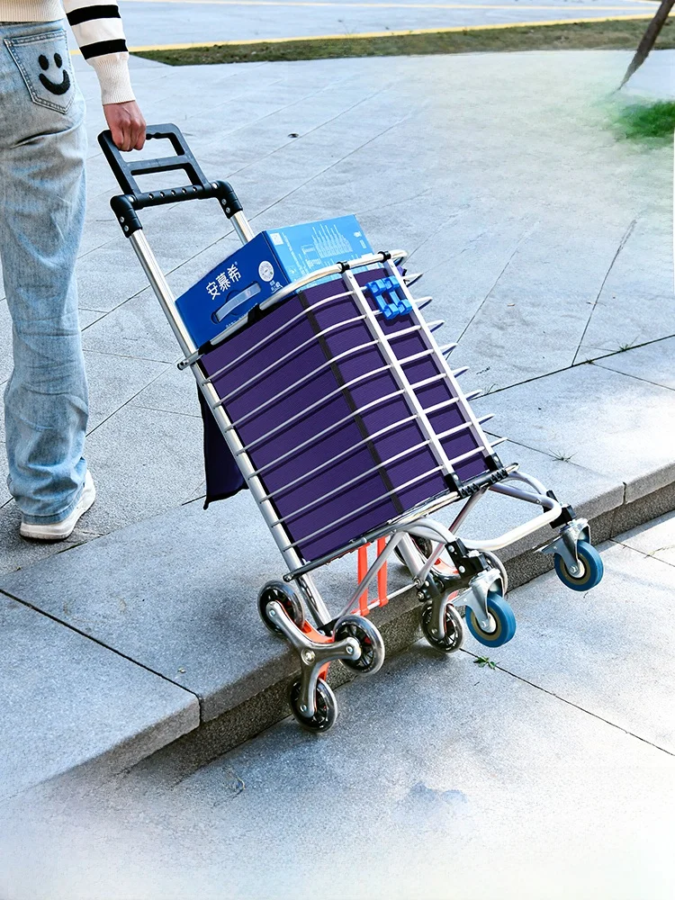 chariot-de-courses-leger-pliable-a-tirer-a-la-main-chariot-a-legumes-petit-chariot-de-courses-pour-personnes-agees-organisateur-de-rangement-portable