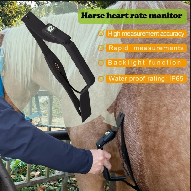 Horse heart rate sensor with backlit LCD screen waterproof high-precision fast measurement adjustable display angle KYTO2596