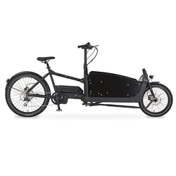 Top Quality Front Loading Pedal Electric 2 Wheel Cargo Bike Disc Brake Electric Tricycle For Sale