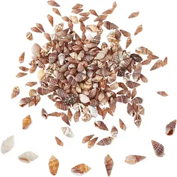 260pcs Small Seashells 4 Styles Natural Shell Beads Undyed Miniature Shells No Hole Ocean Spiral Seashells for Resin Home Party