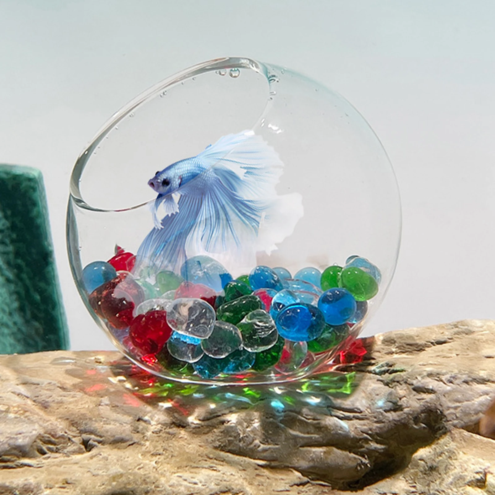 

Betta Cave Betta Habitat Tank Ornament Hermit Crab Habitat Fish Tank Ornaments Black Shrimp Sleeping Nest For Aquatic Life