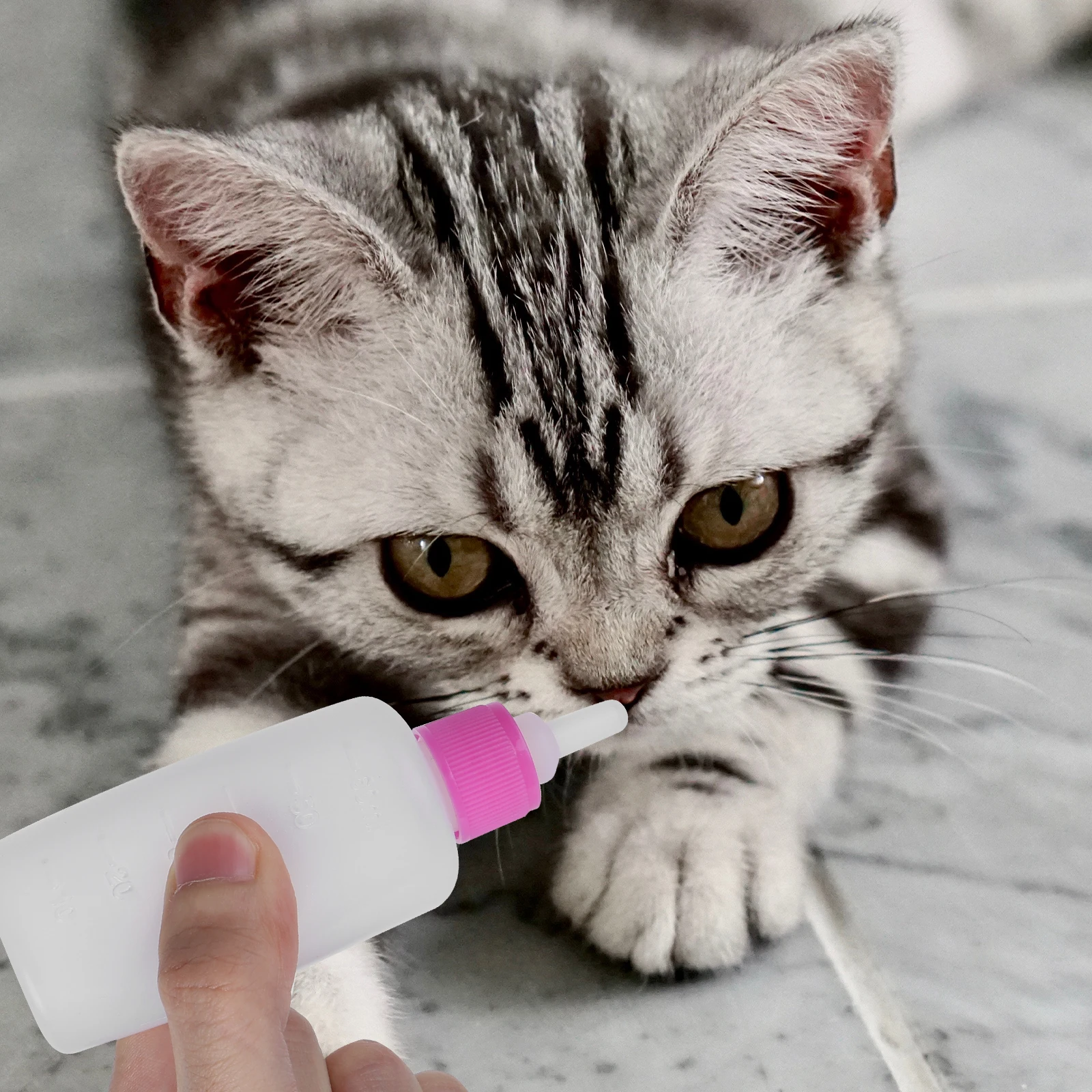 

2 set Pet Nursing Bottle Kit 60 Ml Food Grade Feeding Bottles For Puppy Kitten Animals Easy Clean Durable Pet Feeder