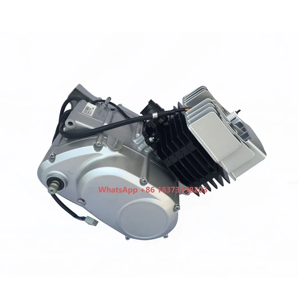 

Lifan AX110CC 2 Stroke Engine 100CC Engine for All Kinds of 2-wheel Motorcycles High Speed Like Suzuki AX100