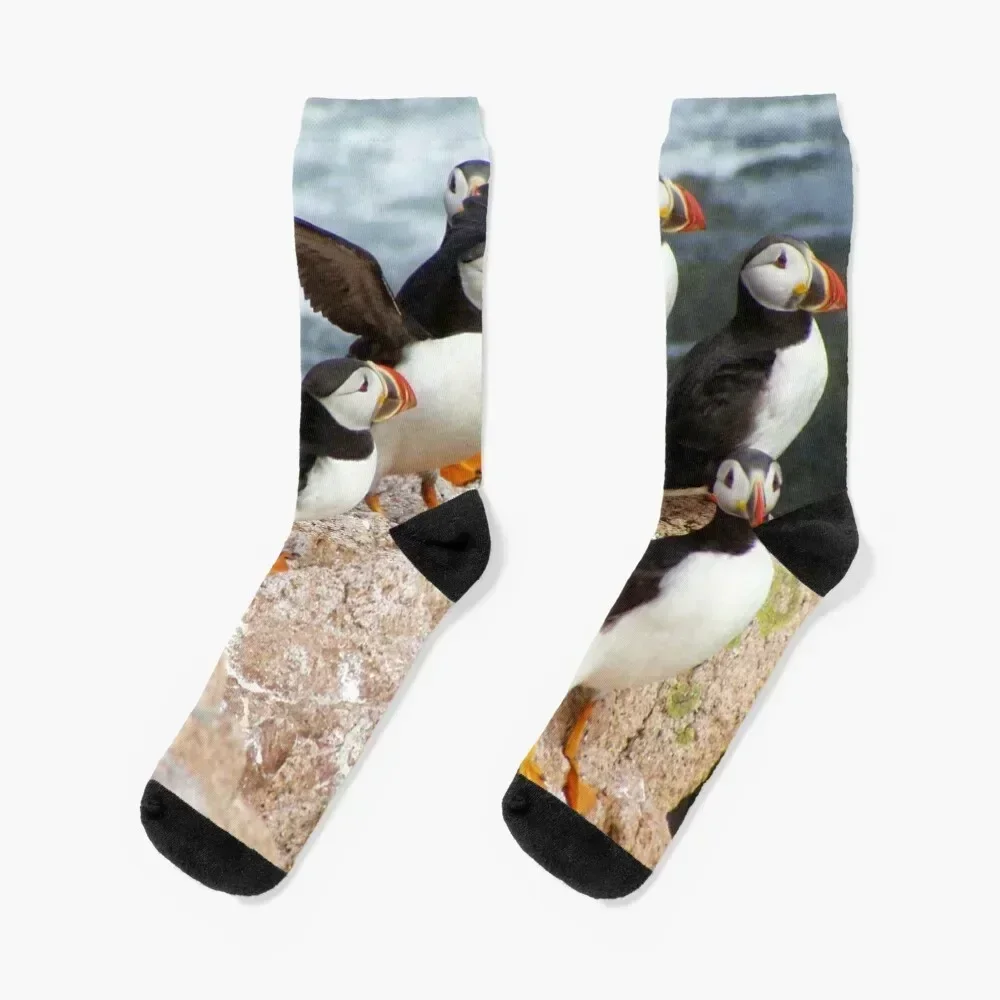 

Atlantic puffins Socks golf christmas gift Crossfit retro Socks Men Women's
