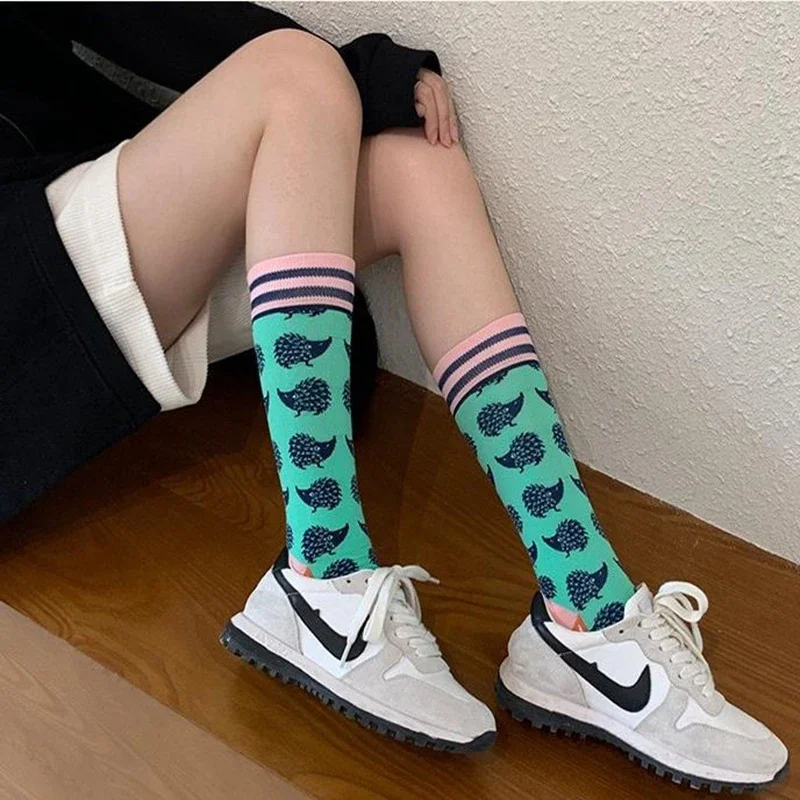 Mode coloré automne hiver bas femmes chaussettes plante hérisson paresseux coton chaussettes personnalité droite chaussettes à la mode