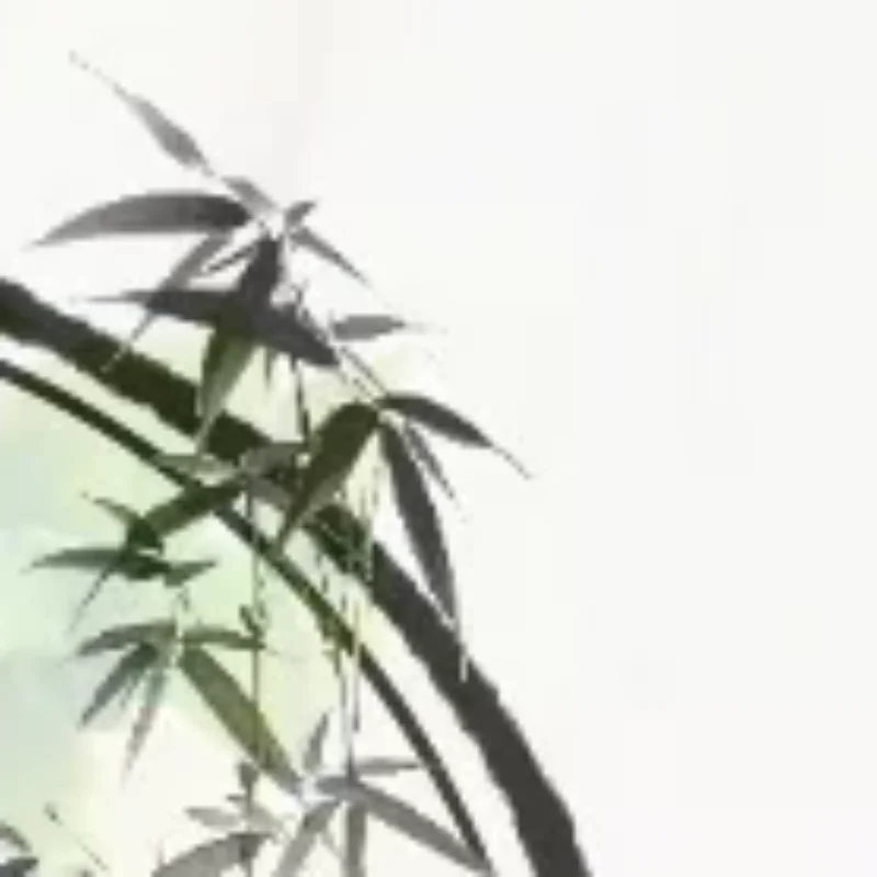 

1 шт., скраб, отшелушивающая губка, щетка, скраб для спины, отшелушивающий массажный скраб для лица, прочный многоцветный инструмент для глубокой очистки