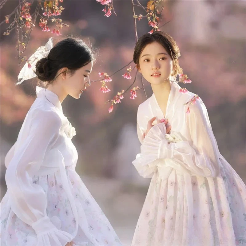Studio New Korean Hanbok Female Princess Yanji Internet Celebrity Photo Theme Atmosphere Court Photography Clothes