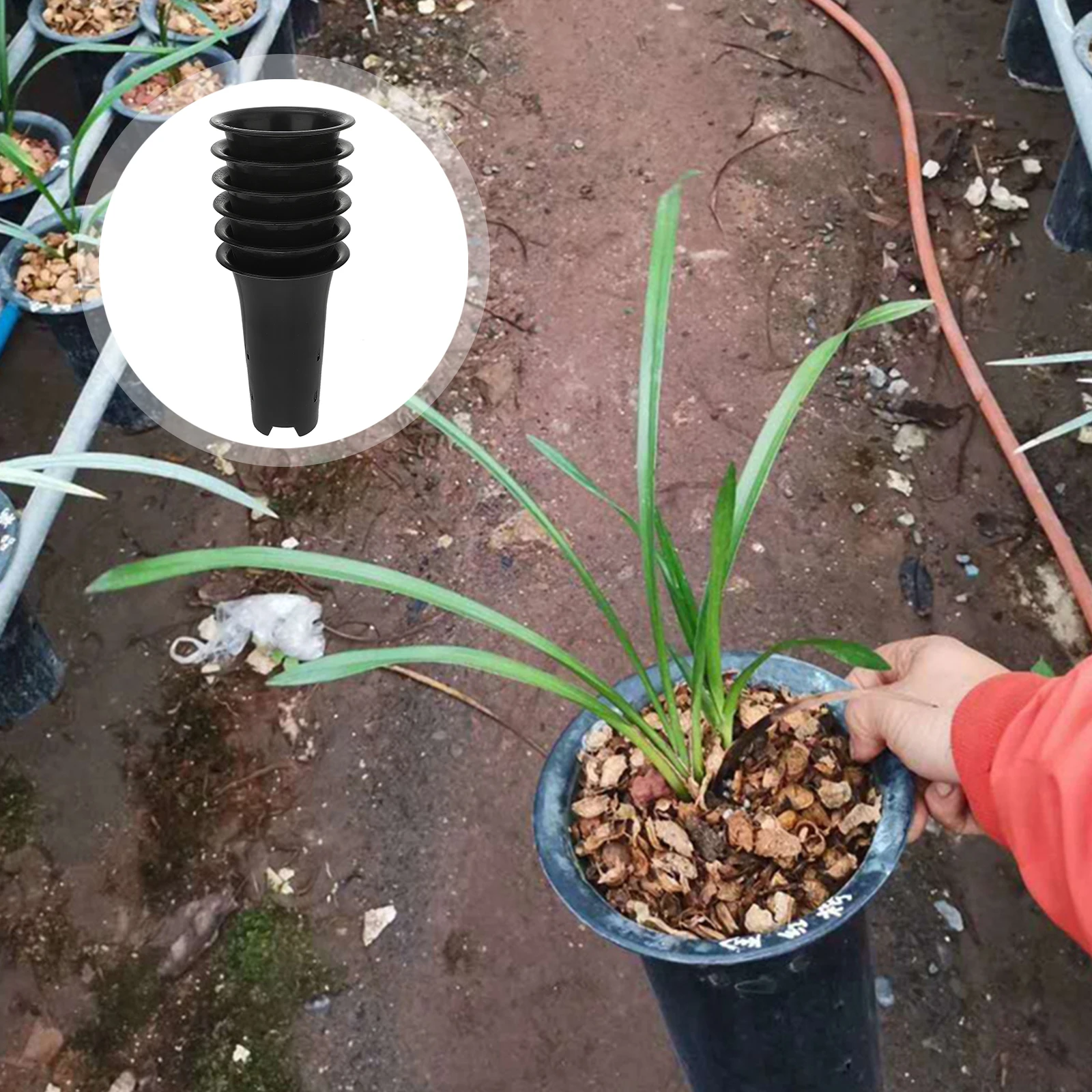 

6pcs Orchid Pots Tall Plant Flower Planter Indoor PP Lightweight Durable Breathable Permeable Anti Rot Roots Sunlight Air