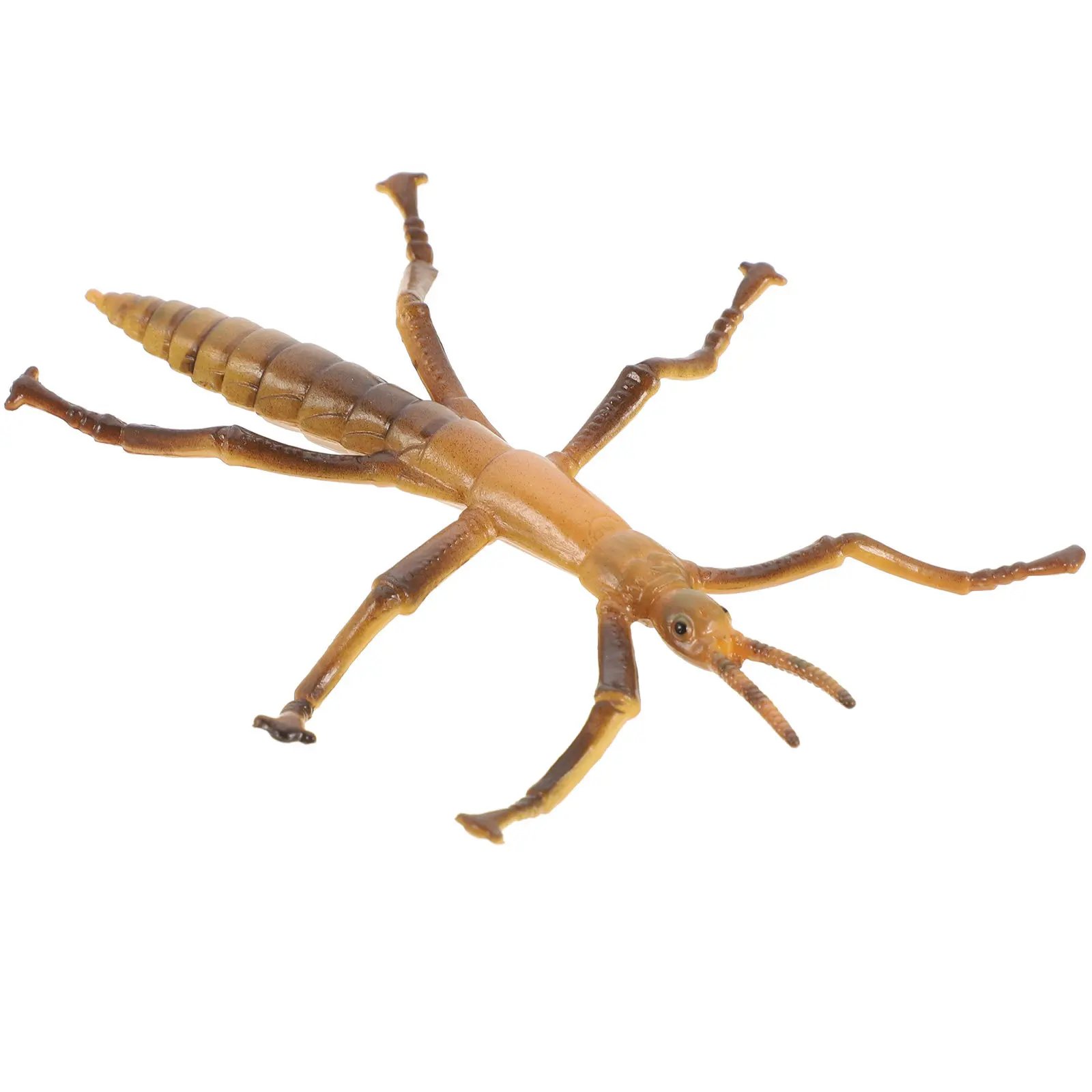 

Plastic Stick Insect Funny Kids Plaything Household Learning Educational Stick Play Accessory Realistic Plastic Bugs Children