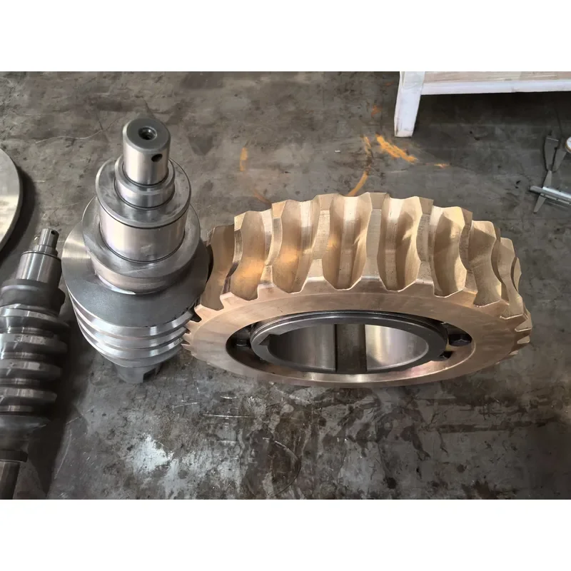 Custom High Quality Double Copper Worm Wheel and Steel Worm Shaft for Industrial Transmission