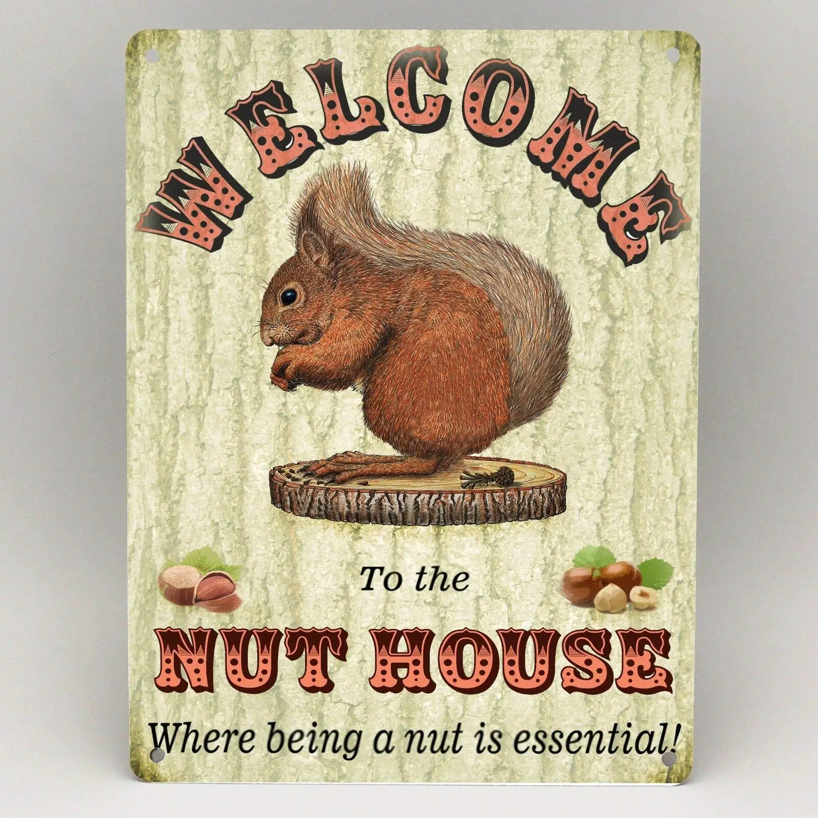 Добро пожаловать в The Nut House Squirrel. Ретро-уличная табличка. Металлическая табличка для дома, бара, кафе, автомобиля, мотоцикла, гаража. Декор.
