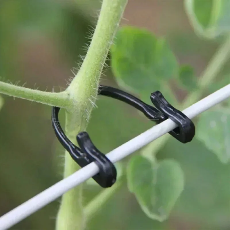 50-500Pcs Plant Fixing Clips Vine Fastener Hooks For Vegetable Grafting Stem Support Gardening Fixing Buckle Accessories