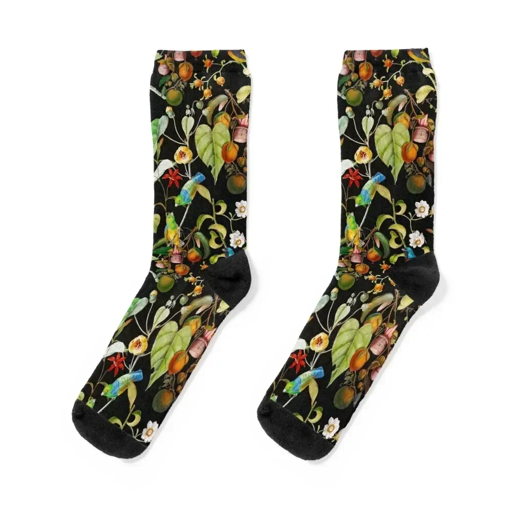 

Vintage tropical sing birds and fruits pattern black Socks anti-slip custom Men's Socks Women's