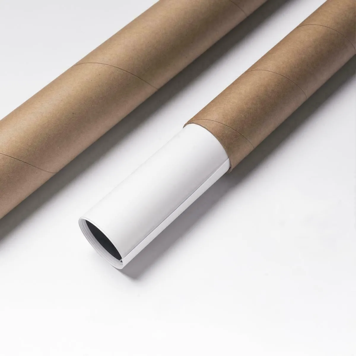 الحياة البحرية الحديثة الحوت الأحدب Orca الملصقات قماش اللوحة المحيط الحيوان خمر جدار صورة للديكور المنزل