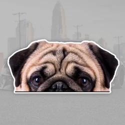 17x8cm Pug Car Stickers Scratch Covering Self-Adhesive Waterproof Decal Motorcycle Decorative Accessories