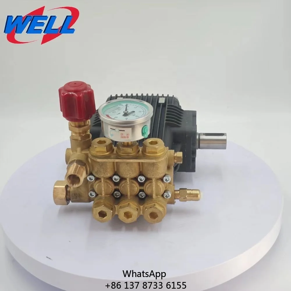 WEITE 1510B New High-pressure Plunger Pump Corrosion-resistant High-temperature Heavy Duty Copper Industrial Seawater
