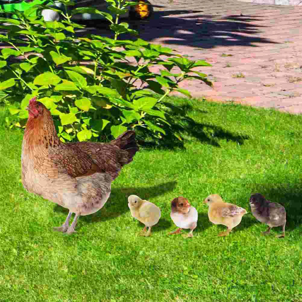 Hen Chick Ground Plug Chicken Yards Acrylic Garden Stake Sign Lawn Decoration Ornament Outdoor