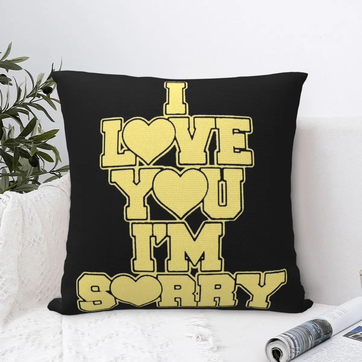 I Love You I'm Sorry The Secret Of Us Tour Gracie Abrams Pillowcases Merch Soft Cushion Cover Throw Pillow Cover Car Decorations