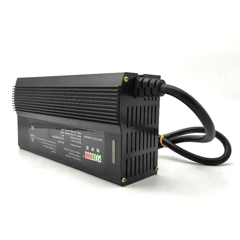 Electric Auto Lead Acid /Lithium Battery Charger 48v20a 80ah