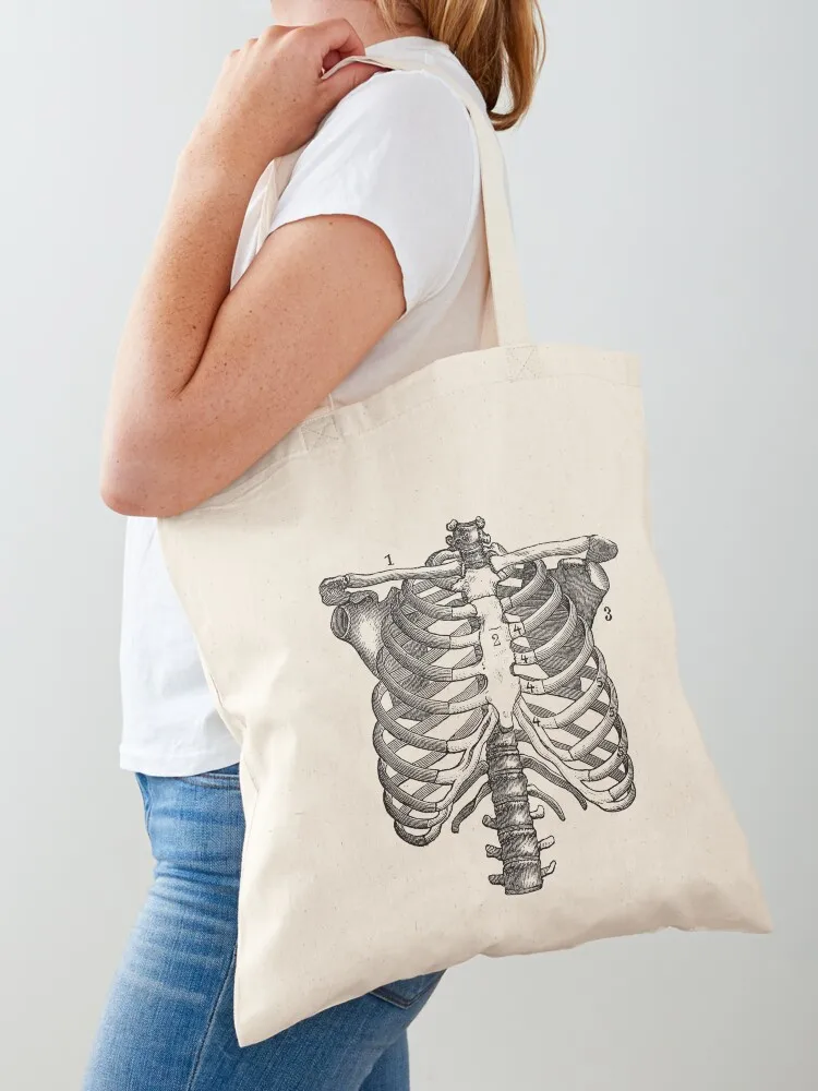 

Shoulder and Rib Cage Diagram - Vintage Anatomy Poster 2 Tote Bag hand bags Big bag women