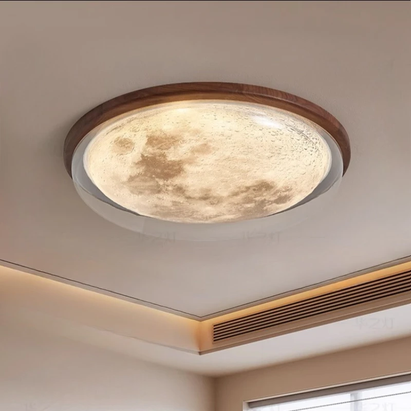 Modern Ceiling Ligh… - image