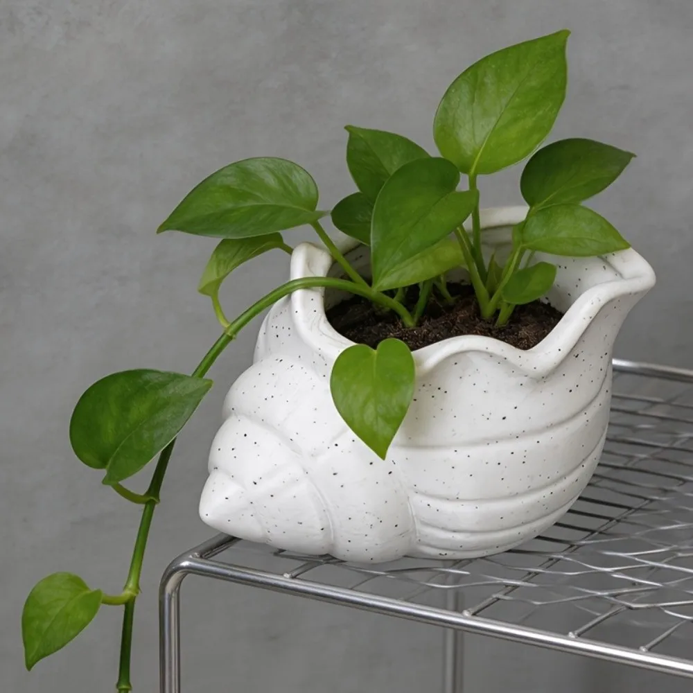 

Creative 3D Printed Conch-shaped Flower Pot Ornaments Decoration Conch Storage Box Ocean-themed Mini Plant Pot Kitchen Use