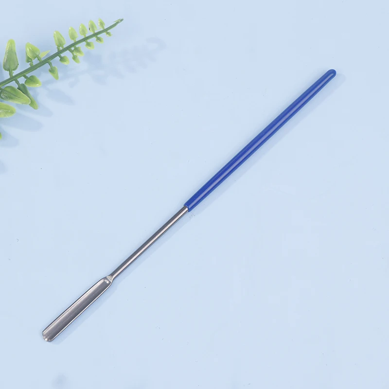 Stainless Steel Micro Medicinal Spoon Spatula Shovel Head Experiment Pharmacy Laboratory Teaching Use Lab Supplies
