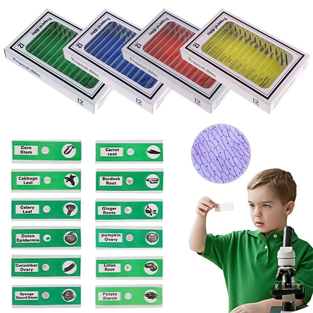 

24Pcs Biological Microscope Slides Green Plant Specimens Marked Names Easy Classification Beginner Science Set Children Learning