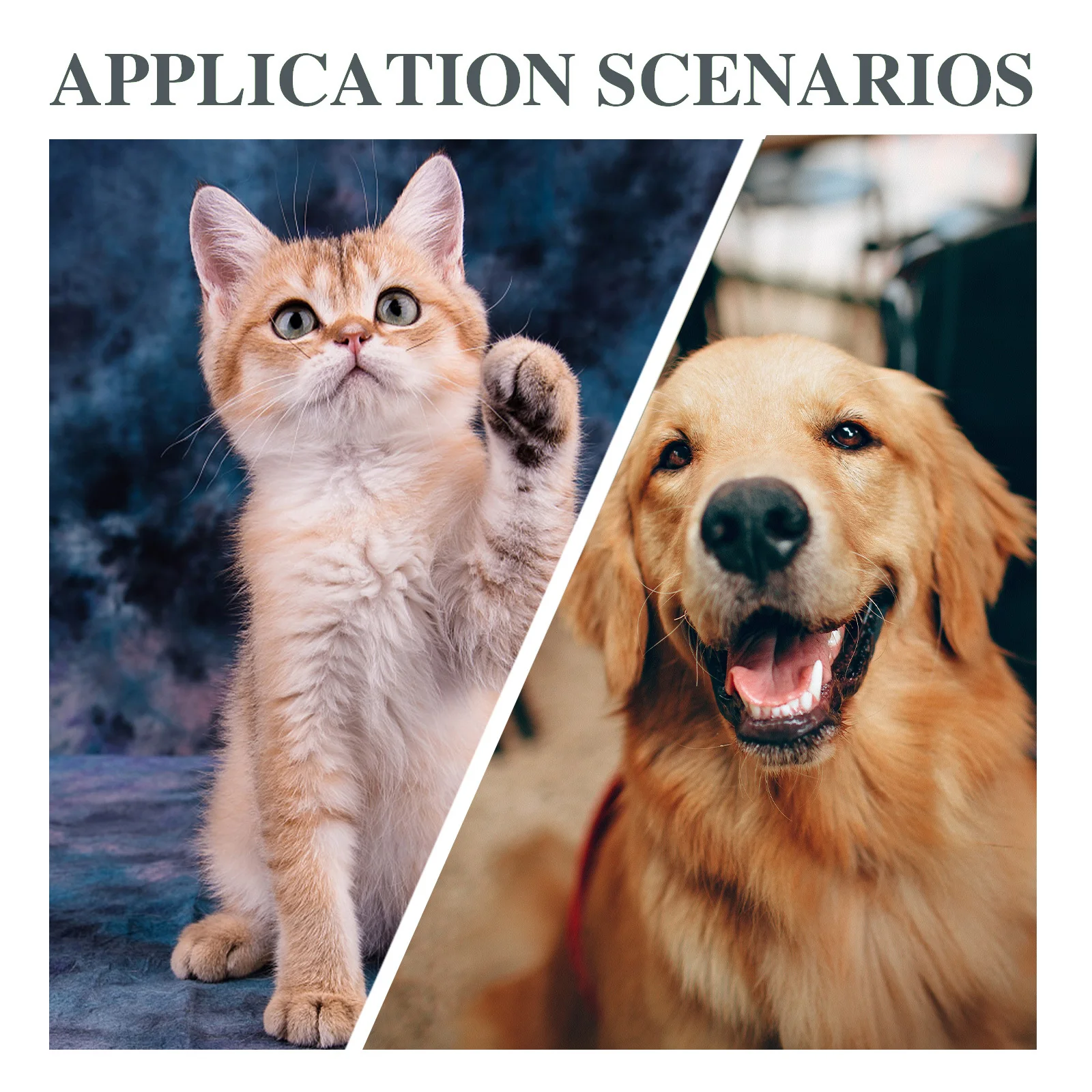 

Rhinestone Pet Necklace for Dogs and Cats - Adjustable Shiny Collar Chain for Puppy, Feline Accessories, Event Wear, Comfortable