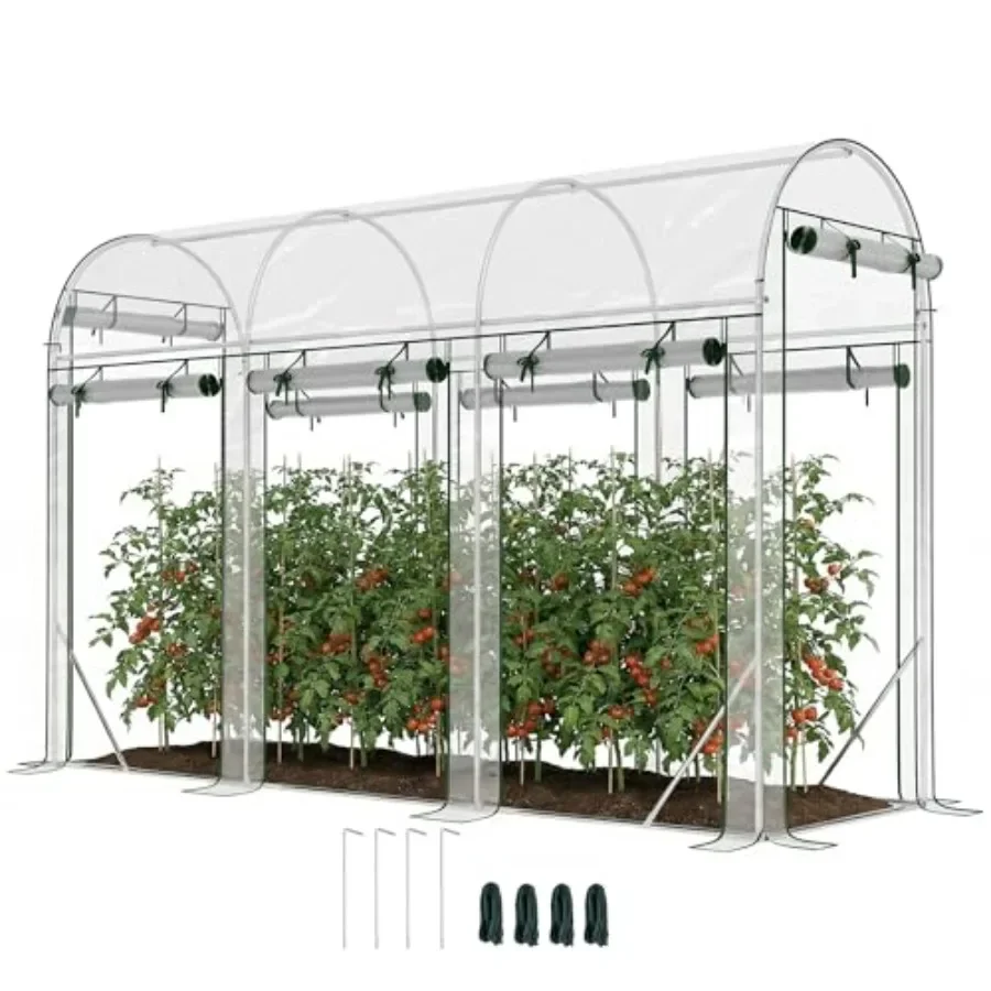 Walk-in Tunnel Greenhouse for gardening use, polyethylene material, green color, 10' x 3' x 6.5' with 8 roll-up doors and clear