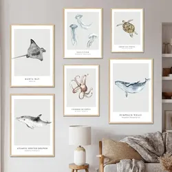 Oceanic Wildlife Wall Art Featuring Jellyfish, Octopus, Turtle, Dolphin - High Quality Canvas Painting, Nordic Style Poster