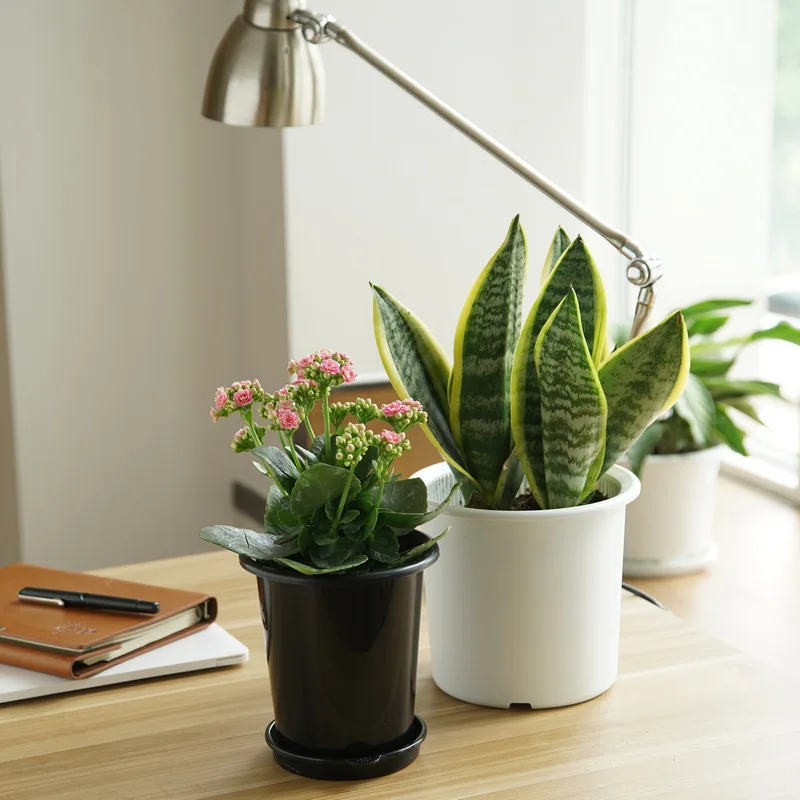 Meshpot Kunststoff-Blumentopf, Orchideentopf mit Löchern, doppelschichtiger Orchideentopf zum Umfüllen von Heim-Pflanzgefäßen, Garten-Sets – Detail 9