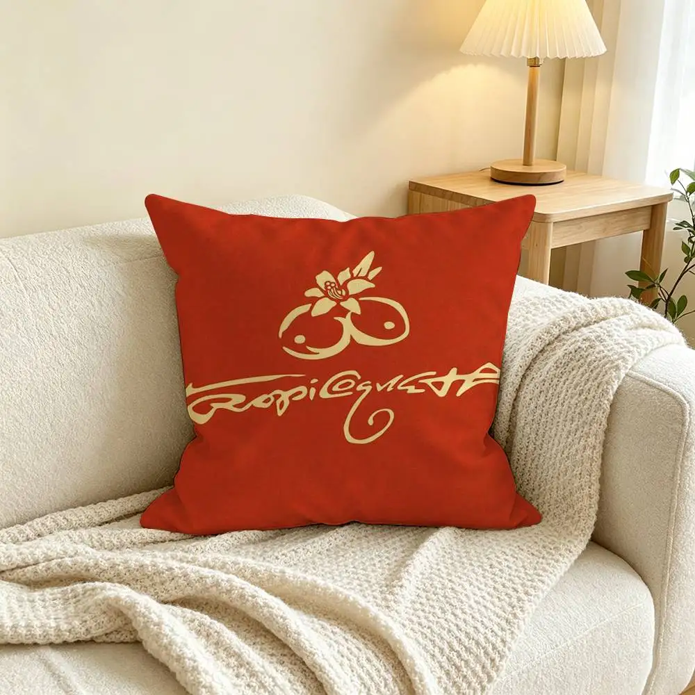 Singer Karol G  Square Double-Sided printed Pillow Case Bedroom Bedside Pillow Sofa Cushion Cover