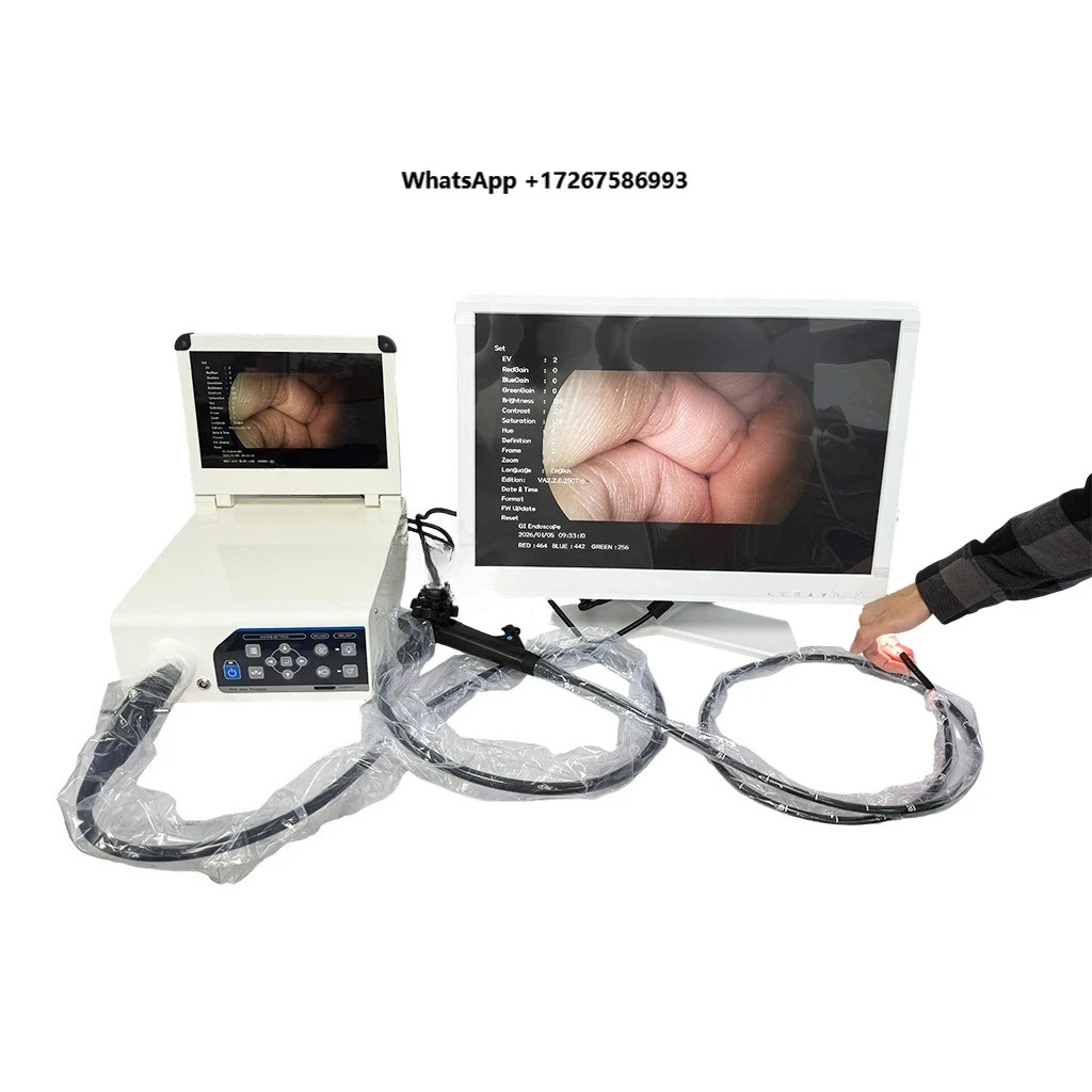 Veterinary video endoscopy, gastroscope, rectoscope, flexible gastroscope for animals, dogs and cats, with  channel