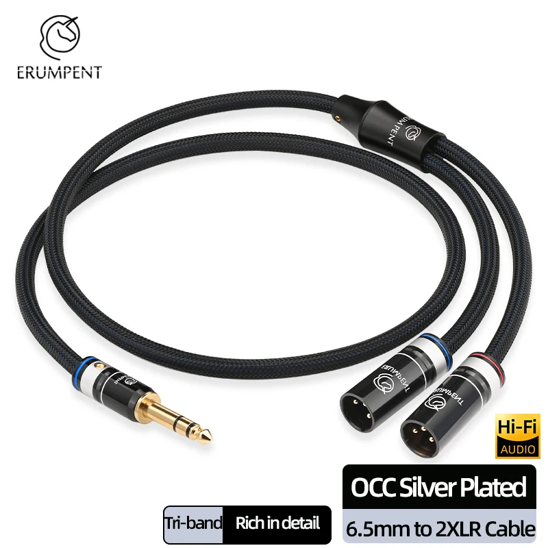 

HiFi Audio 6.5mm to 2XLR Cable OCC Silver Plating 6.35mm to 2XLR Male or Female 3Pin Audio Cable for Guitar Mixer Amplifier