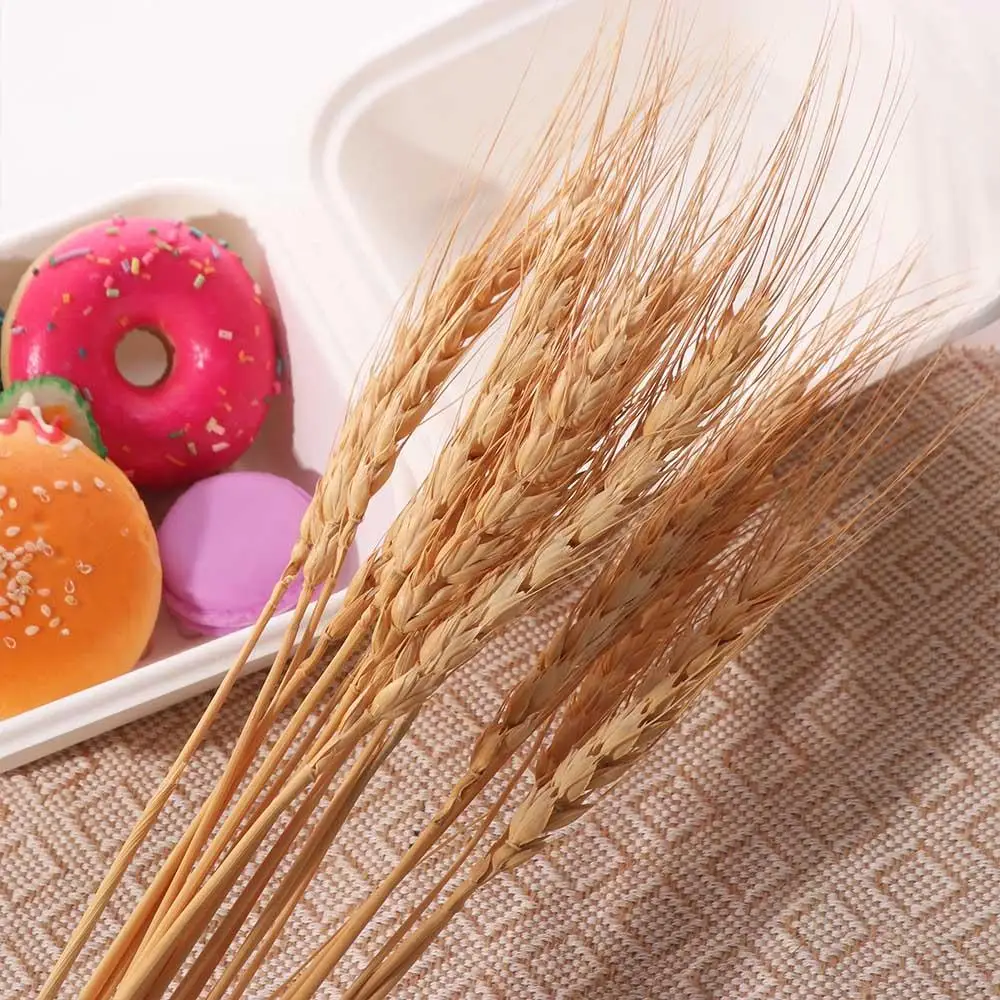 50pcs Natural Dried Wheat Stalks DIY Craft Elegance Dry Wheat Spikes Rustic Dried Flowers Christmas Decoration