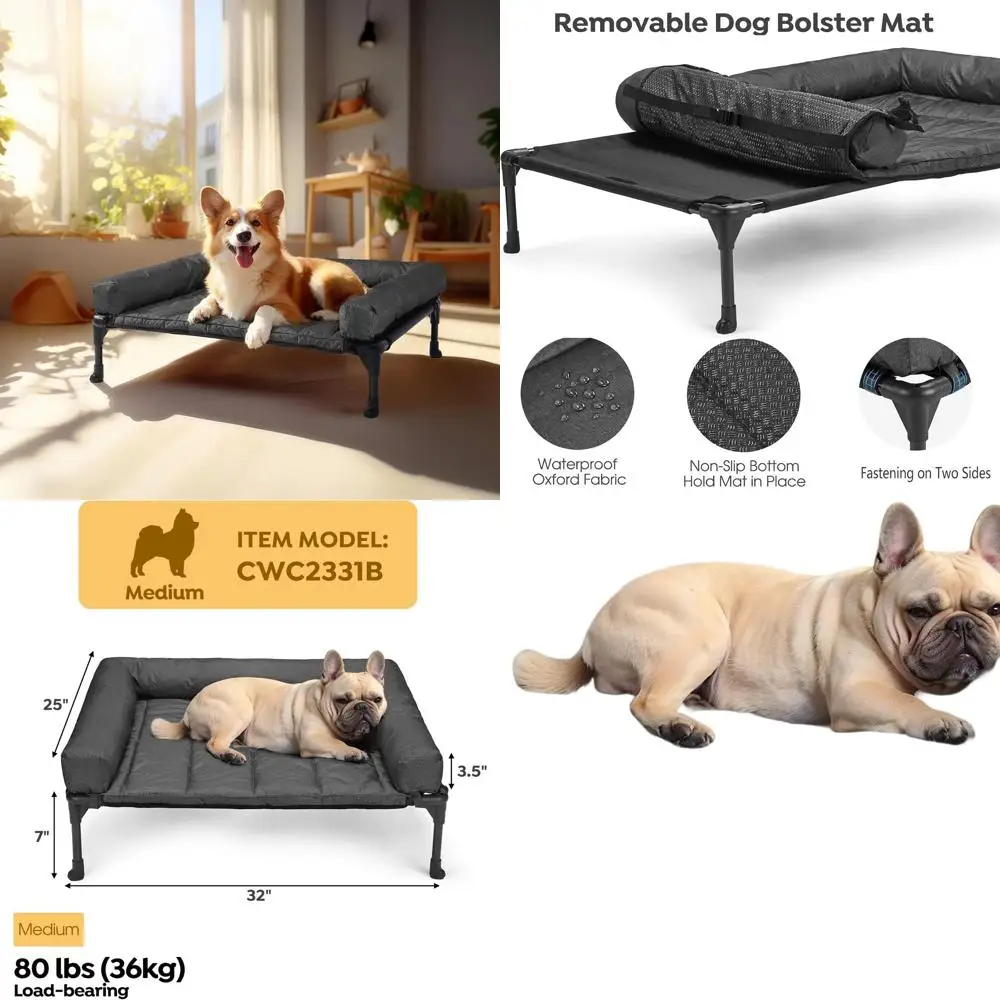 

Elevated Dog Bed with Removable Waterproof Bolster, Breathable Mesh, Non-Slip Feet, Suitable for Indoor/Outdoor, Medium Size, Bl