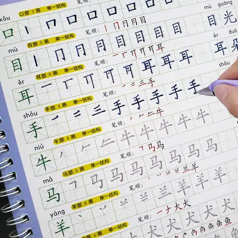 Libros Livros 3D 한자 재사용 가능한 그루브 서예 카피북 지울 수있는 펜 hanzi 배우기 성인 미술 쓰기 책 Best5
