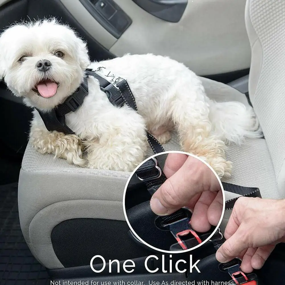 Dog Safety Leash Adjustable Retractable Cushioning Tug Elastic Rope Rope Car Belt Safety Leash Pet X6u7