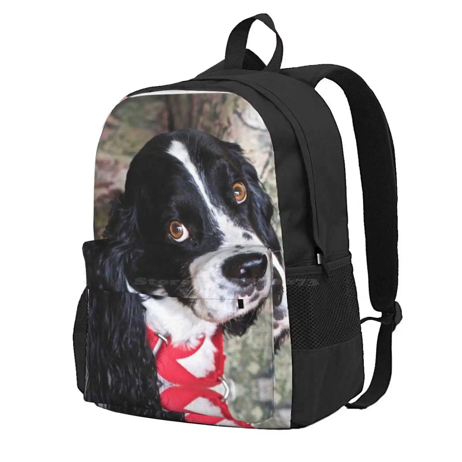 Dude Hot Sale Schoolbag Backpack Fashion Bags English Springer Spaniel Dog