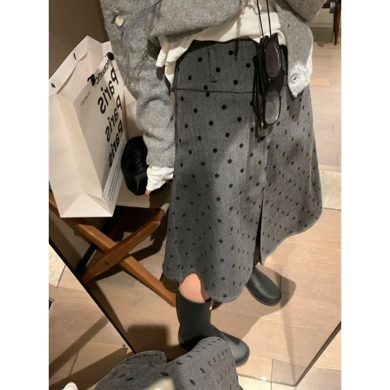 Korean High Waist Dot Printed Casual Gray A-line Dress Women 2025 Autumn New Streetwear All-match Pleated Knee Length Skirt