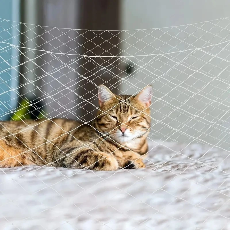 Thumbnail 3 - #42 Best Cat Safety Window Nets to Buy In 2026