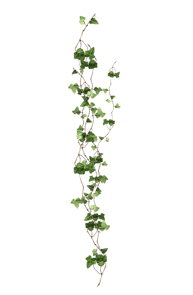 

Твои зубы действительно красивые