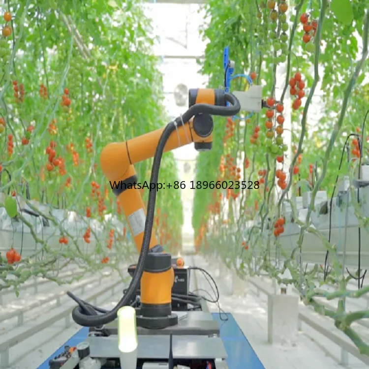 AUBO Collaborative Robot With Robotic Arm For Farm Delivery And Orchard Picking Flowers And Fruits As AGV Robot