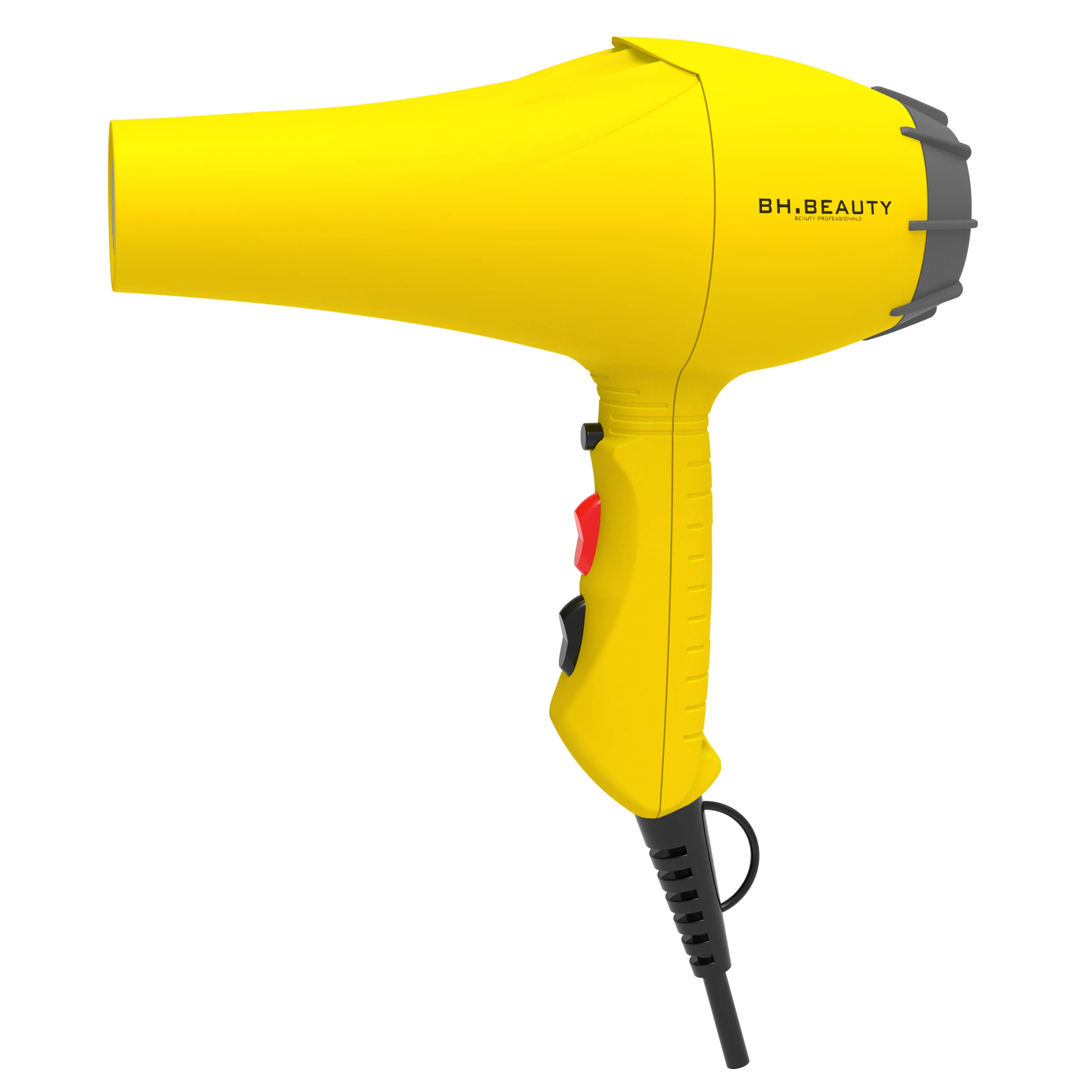 전문가용 2000W 듀얼 전압 휴대용 헤어 드라이어 AC 모터 이온 기능 온냉풍 설정 살롱 이발소 호텔용