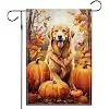 Balgardekor Welcome Fall Golden Retriever Garden Flag for Outside Dog Pumpkin Thanksgiving 12x18 Double Sided Small Burlap D jjp