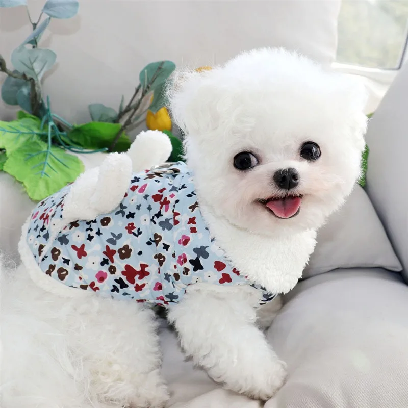 Classic Shattered Teddy Cotton Coat Pet Winter Coat Teddy Warm Two Legs Clothes Schnauzer Poodle Thickened Dog Clothes