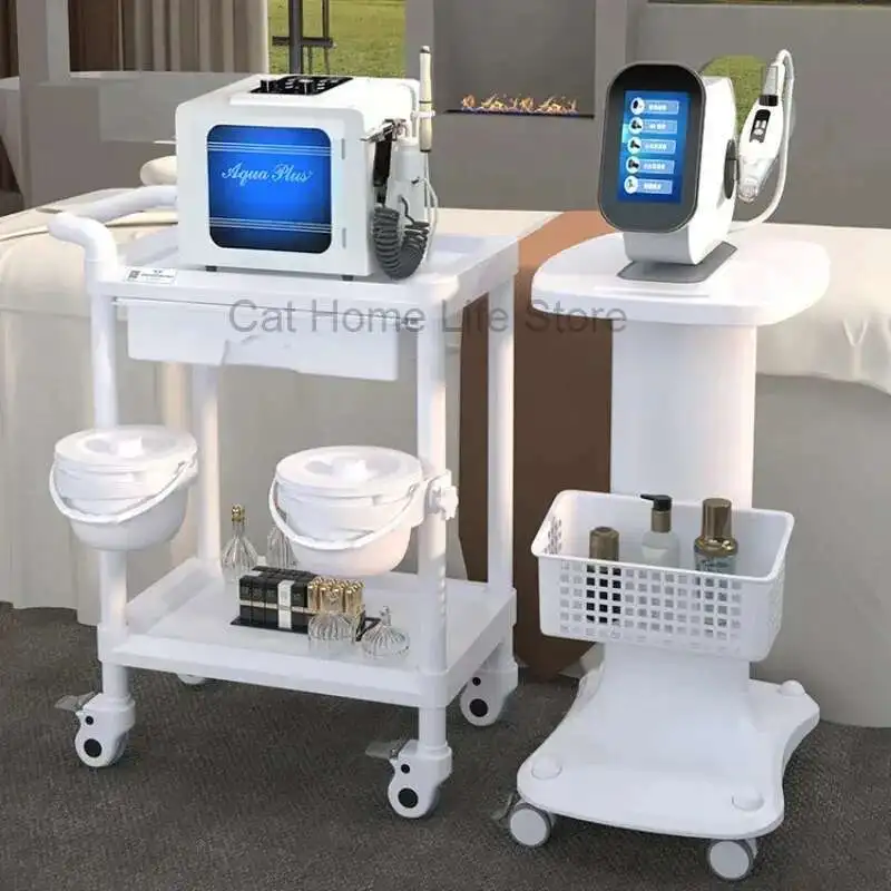 

Beauty Salon Chairs Free Shipping Accessories Professional Household Trolley Metallic Organizers Trolleys Hairdressing Wheels