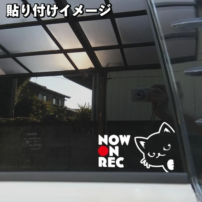 Autocollant en vinyle Chat qui fait la curieuse, autocollant imperméable pour vitre arrière, chat noir mignon avec design d'indicateur